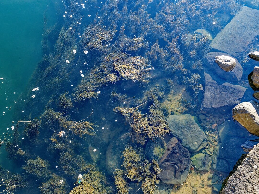 ocean floor mapping