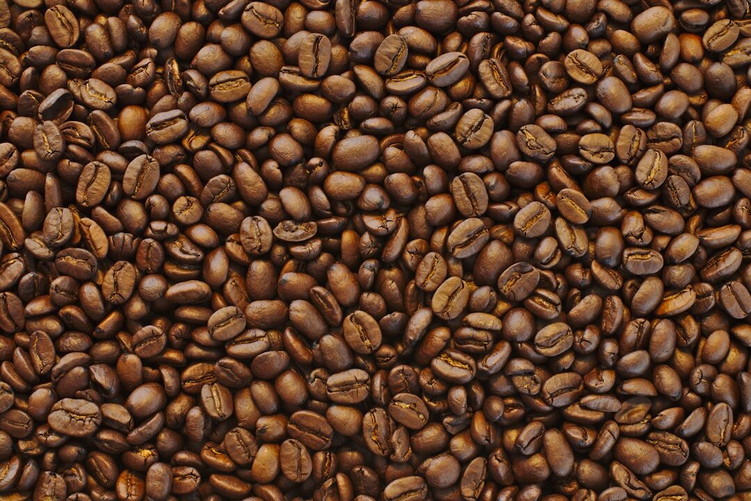 coffee beans close up