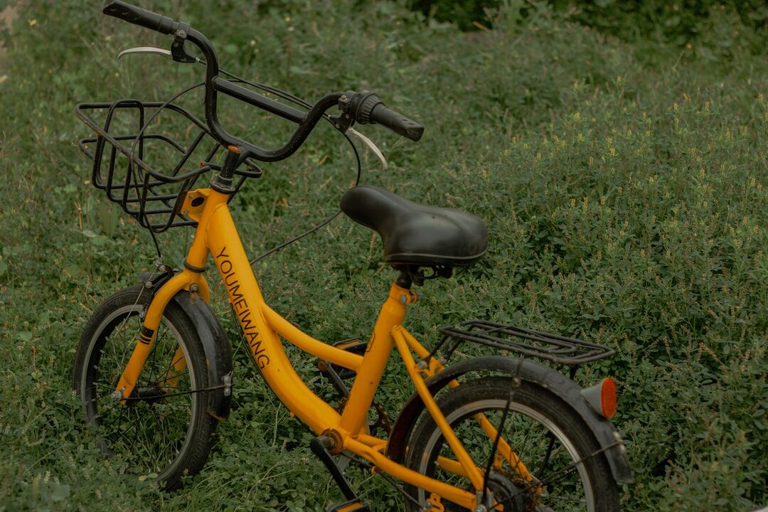sustainable city park