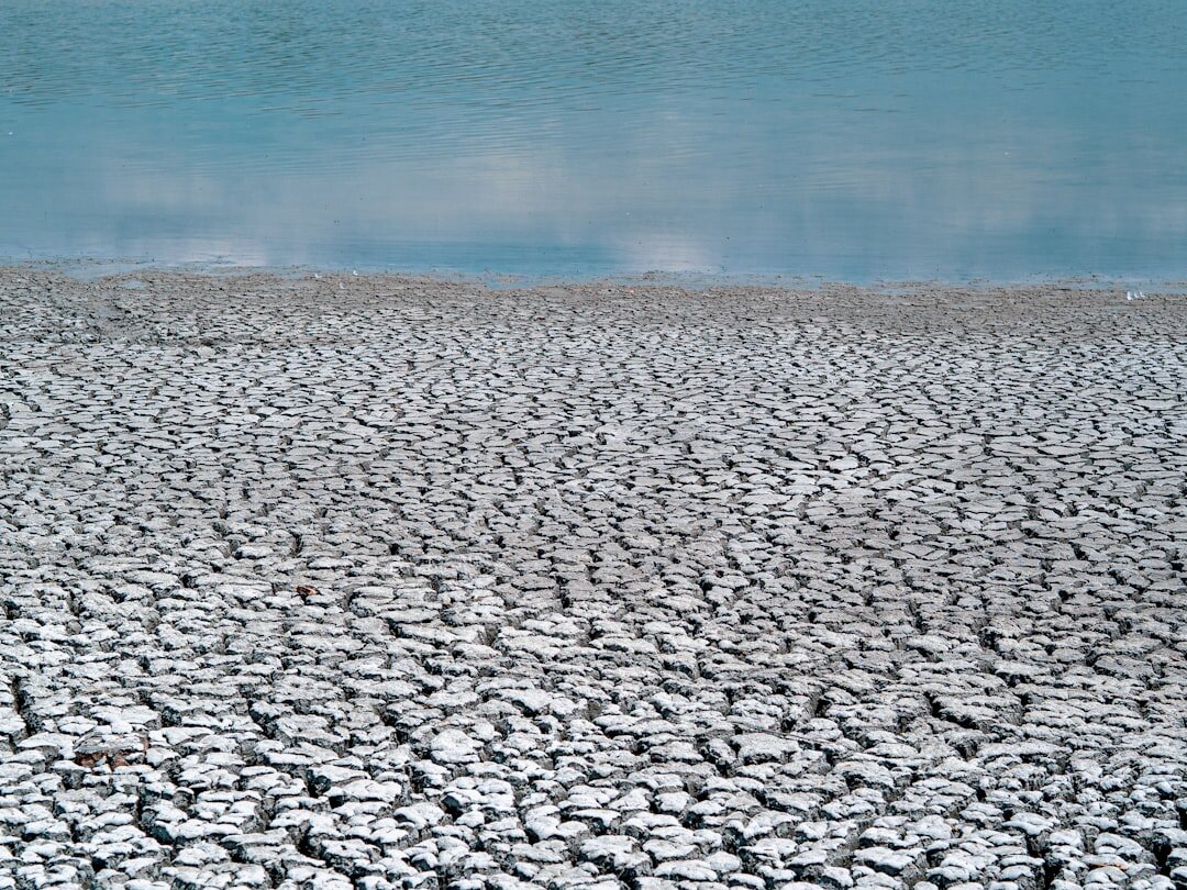 global environmental change